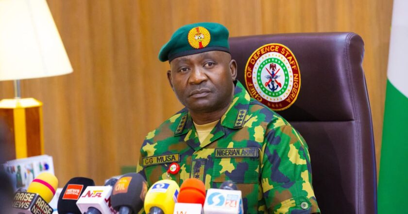 Terrorism Persists in Nigeria Due to Local Support, Says Defence Minister