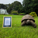 Jonathan the Tortoise Recognized as Guinness World Records Icon at 194 {VIDEO}