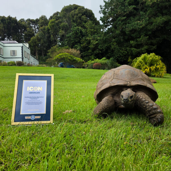 Jonathan the Tortoise Recognized as Guinness World Records Icon at 194 {VIDEO}