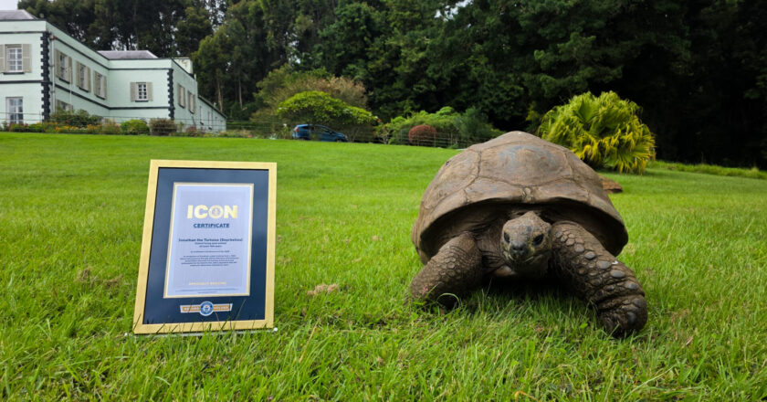 Jonathan the Tortoise Recognized as Guinness World Records Icon at 194 {VIDEO}