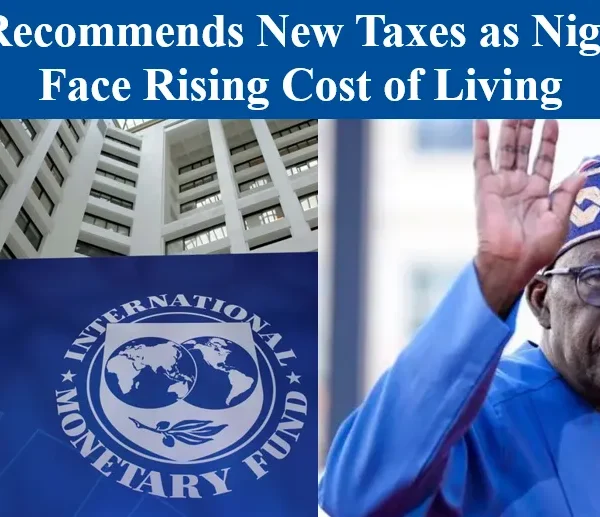 Nigerians Push Back Against IMF’s Proposed Taxes On Telecoms And Fuel