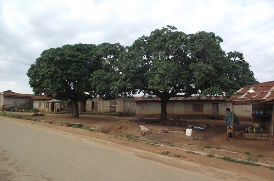One k!lled as angry youths set houses ablaze after man k!lled his kinsman over girlfriend in Okpella Edo