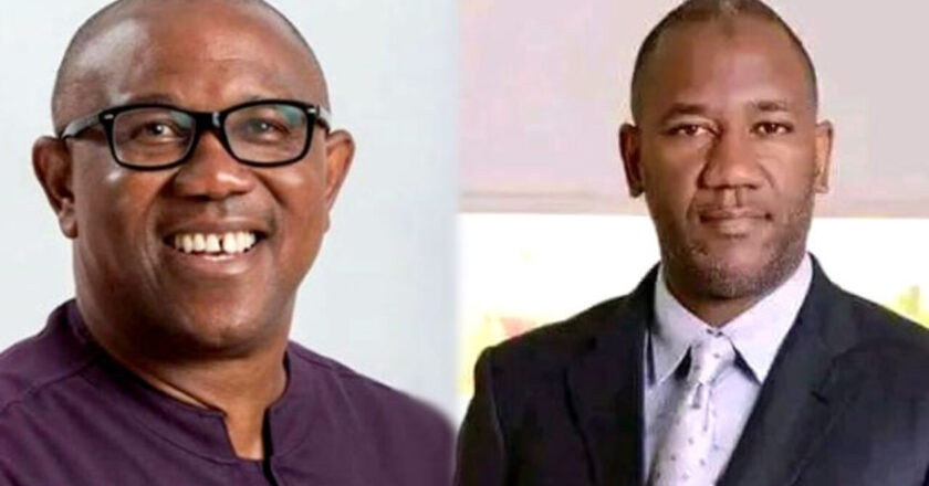 I ran with Peter Obi out of sympathy after three top politicians rejected him- former Labour Party, VP candidate, Datti Baba-Ahmed