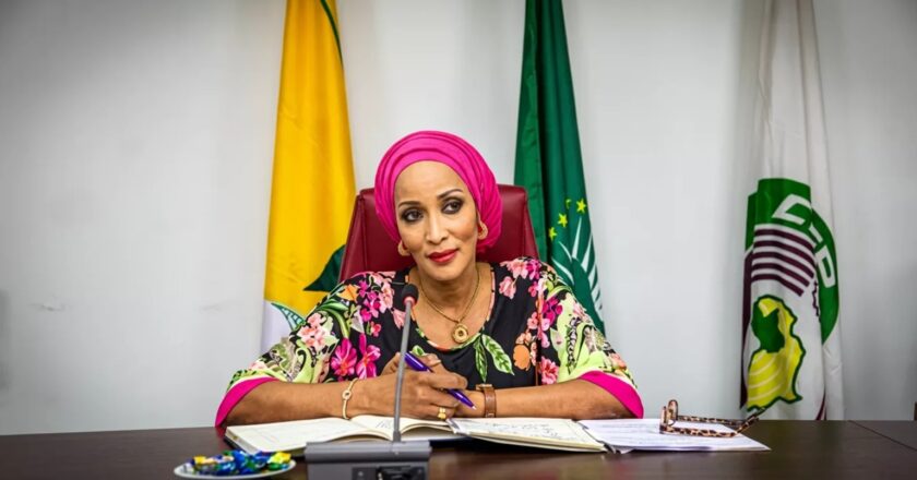 National Assembly to Determine Response to South Africa, Says Foreign Affairs Minister Bianca Ojukwu