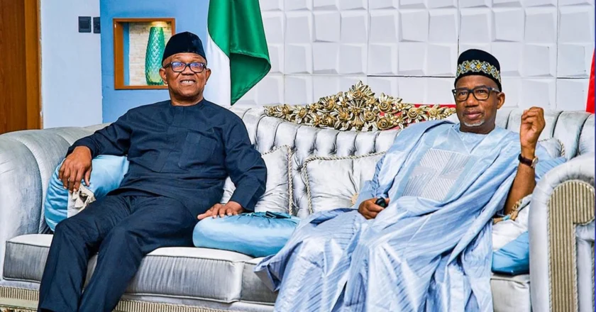 ‘I’ll Be Surprised If Peter Obi Matches His 2023 Performance’ — Mohammed-Baba