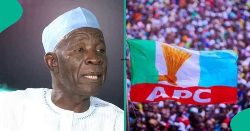 Buba Galadima Accuses Tinubu, National Assembly Of Undermining Opposition
