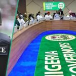 All 36 Governors Back Creation of State Police, Endorse Key Reforms