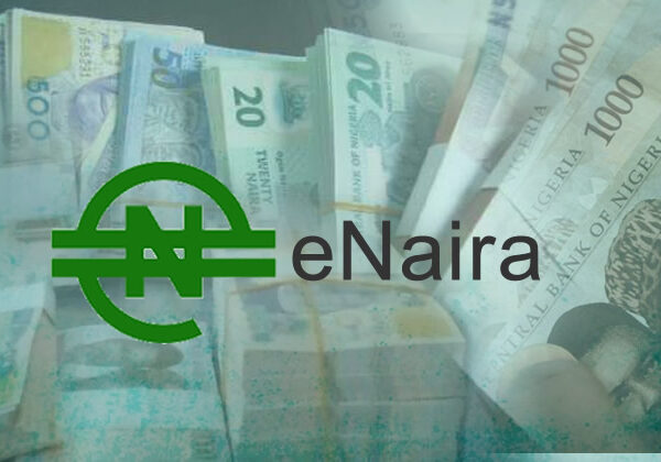 FG may pay salaries through eNaira platform – Report claims