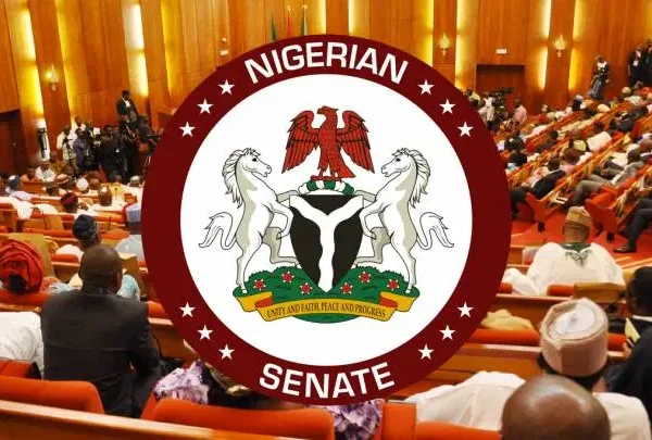 11th Senate to consider six-year single term for president, govs – Lawmaker