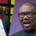 Daniel Bwala Accuses Peter Obi of Criticizing Nigeria’s Progress Under Tinubu