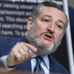 Instead of addressing persecution, Nigeria launched PR campaign” US Senator Ted Cruz