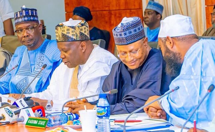 Northern Governors Launch Security Trust Fund, Commit ₦1 Billion Monthly To Tackle Insecurity