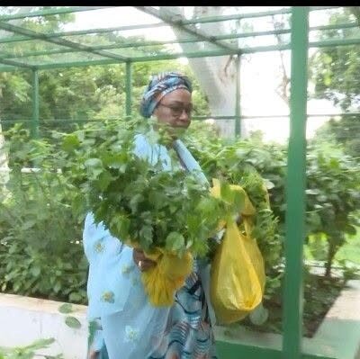 First Lady, Remi Tinubu, showcases vegetables she harvested from Aso Villa Garden