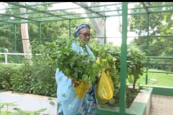First Lady, Remi Tinubu, showcases vegetables she harvested from Aso Villa Garden