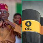 FG Returns 13 Oil Blocks to Licensing Pool After Failing to Attract Bids