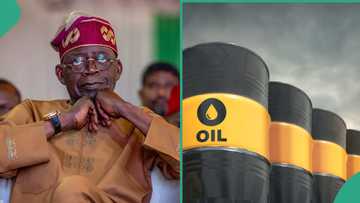 FG Returns 13 Oil Blocks to Licensing Pool After Failing to Attract Bids