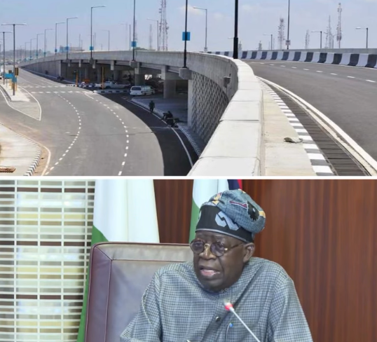 Stop building unnecessary flyovers. You can do more for citizens – President Tinubu tells Governors
