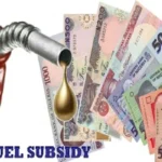 FG Explains How Fuel Subsidy Savings Have Been Utilised