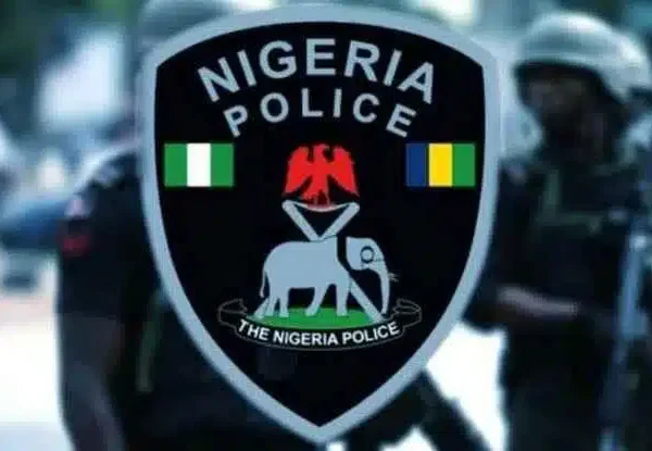 PSC Publishes List Of 50,000 Successful Applicants In Nigeria Police Recruitment