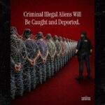 White House uses Spider-Man for immigration enforcement post