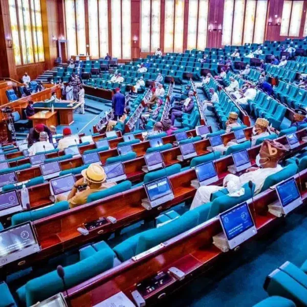 Osun: Nigerians Are Not Fools, Stop Pretending Ignorance – Reps Minority Caucus Tells Tinubu