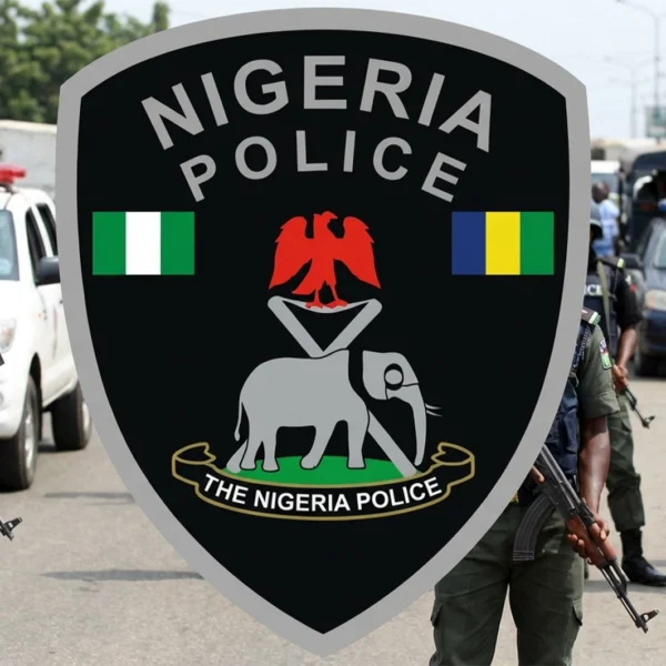 FG Set To Introduce National Policing Bill Amid State Police Push