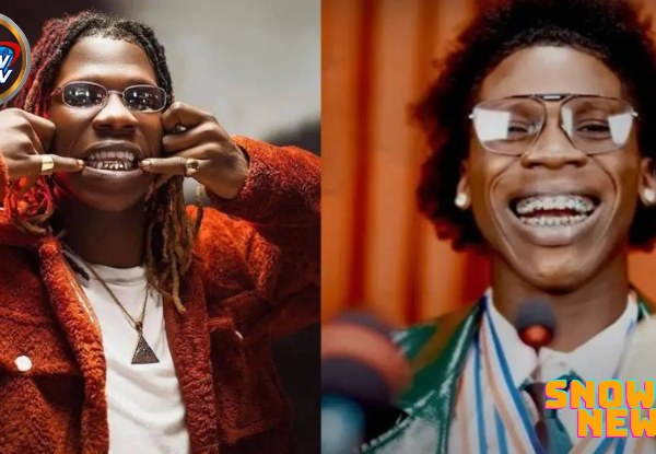 Singer Seyi Vibez  drag Dapper Music amid alleged ₦1bn missing funds