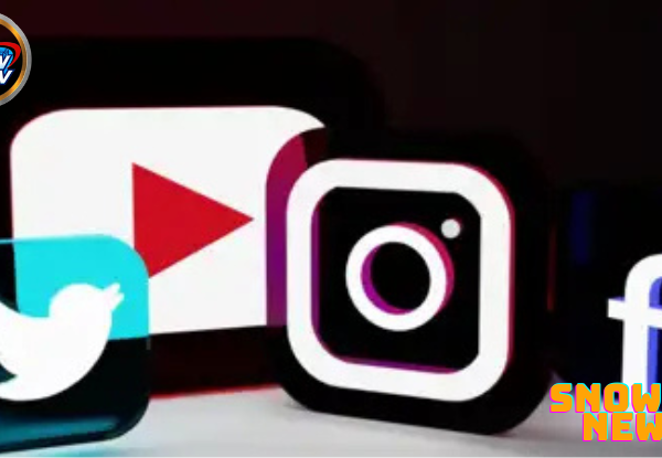 A bill to bar under 15s from social media has been stopped by a court in France.