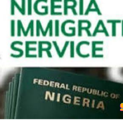 FG directs the Immigration Service to deploy special team to UK for passport issuance