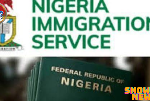 FG directs the Immigration Service to deploy special team to UK for passport issuance