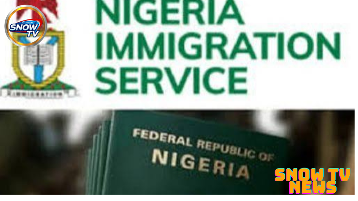 FG directs the Immigration Service to deploy special team to UK for passport issuance