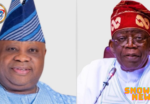 Adeleke is set to battle Tinubu in Osun Election – Dele Momodu says