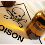 Bauchi bride allegedly poisons husband, 40 after their wedding