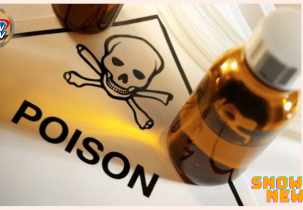 Bauchi bride allegedly poisons husband, 40 after their wedding