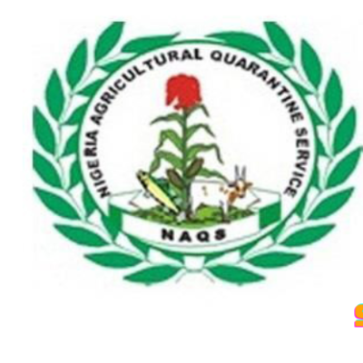 NAQS Recruitment: Shortlisted Candidates’ List Postponed, Agency Announces