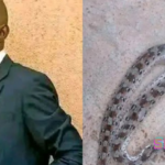 SAD: Pastor di£s after being bitten by snake in Boltim village, Plateau community