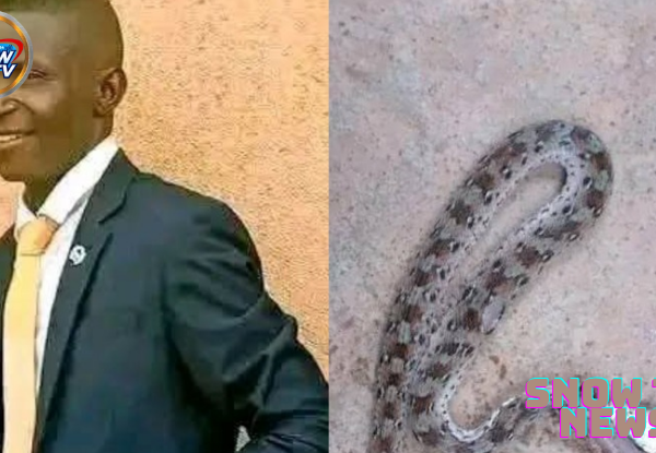 SAD: Pastor di£s after being bitten by snake in Boltim village, Plateau community