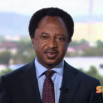 Opposition governors backing Tinubu for political survival – Sani says