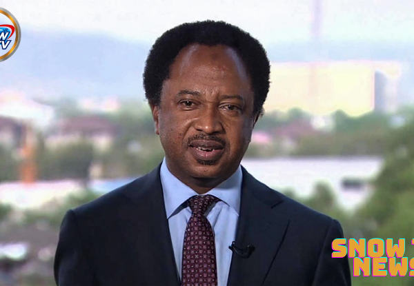 Opposition governors backing Tinubu for political survival – Sani says