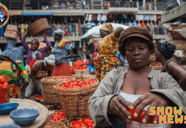 Nigeria: Why food prices, cost of living keep rising despite inflation drop – Economists