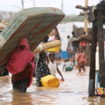 Flood alert: FG warns of 33 states at high risk as water levels rise in flood planes in seven days