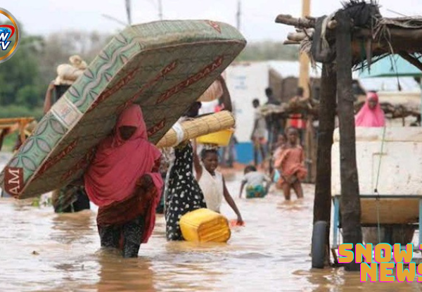 Flood alert: FG warns of 33 states at high risk as water levels rise in flood planes in seven days