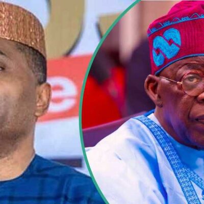 2027: Kenneth Okonkwo Says Failure to Submit Primary, Secondary Certificates Disqualifies Tinubu