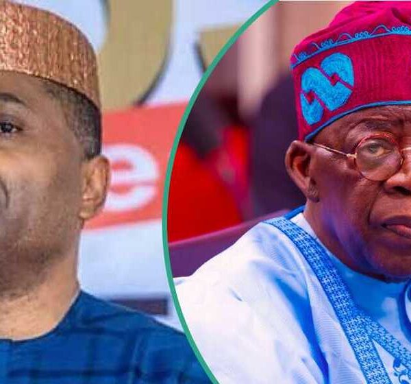 2027: Kenneth Okonkwo Says Failure to Submit Primary, Secondary Certificates Disqualifies Tinubu